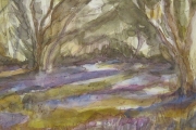 11-071 - Bluebells at Brook House - Line & W/colour on Paper - £45.00 - Mounted 32x40cm