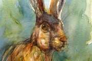 14-016 - Hare Aware - SOLD