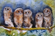 14-033 - Tawny Owl Babies - SOLD