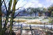 15-009 - View from the Copse - £97.50 - Watercolour on W/C Paper Mount 45x35cm
