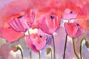 15-037 -  In the Pink II - £68 - Watercolour on W/C Paper -  White mount 25x28cm 