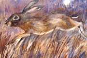 15-042 - Harvest Hare - 	£135 - Watercolour on W/C Paper - Mounted 45x35cm in Black Frame
